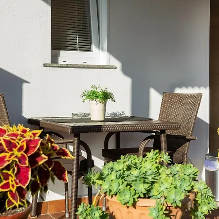 Apartments Elita Rovinj Extérieur photo