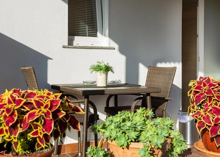 Apartments Elita